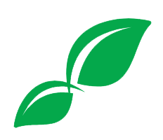 feuille